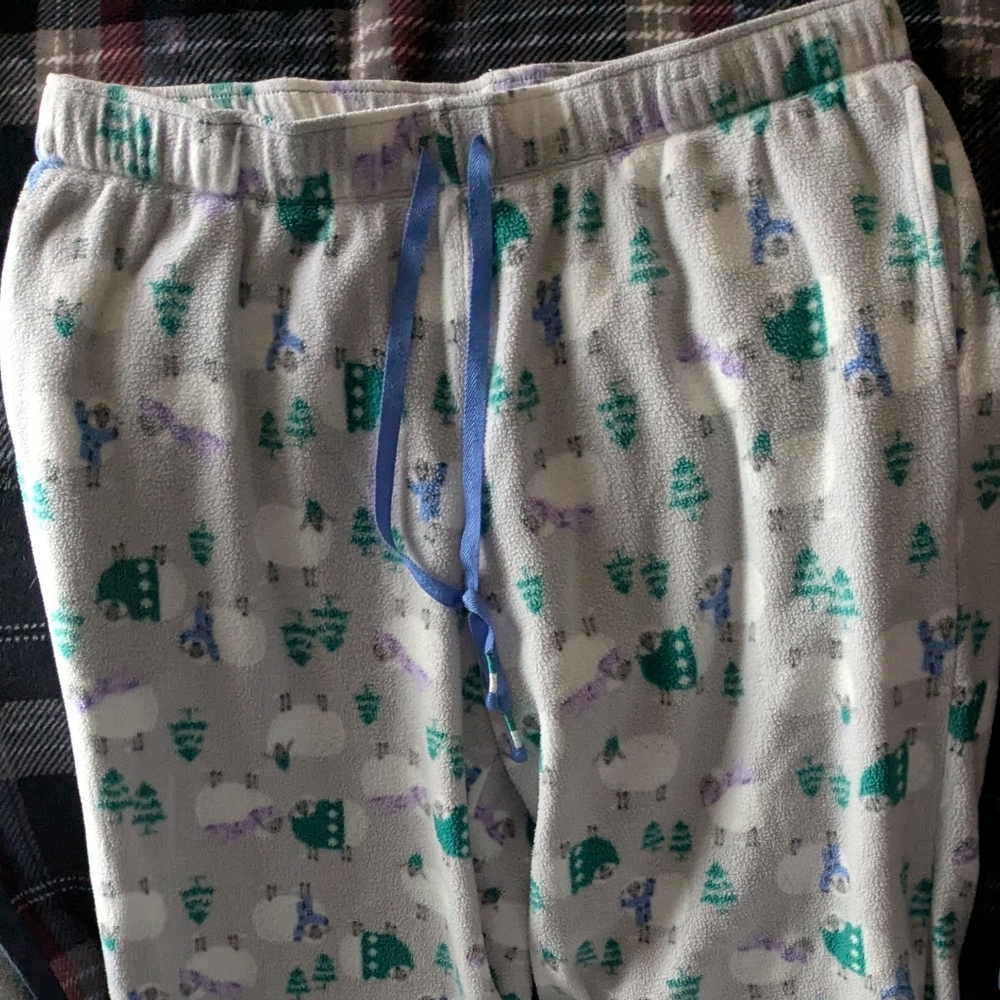 Cuddl Duds Pajama Bottoms in Gray with Green and Purple Print
